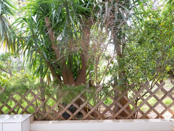 Vouliagmeni'S Secret Garden Near The Sea Apartamento Atenas Exterior foto